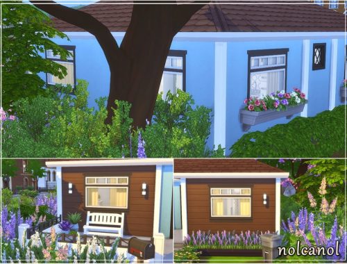 Lizzie Berry - Starter / No CC