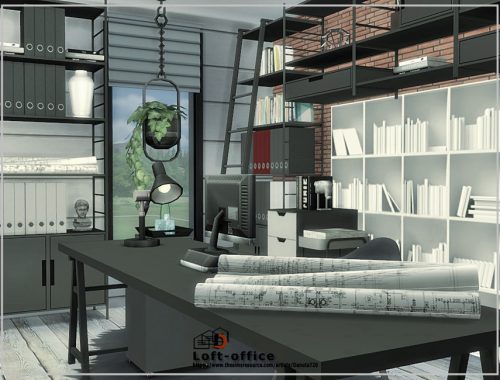 Loft - office room