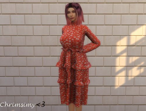 Long Cottage Dress