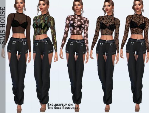 Long Sleeve Sheer Top