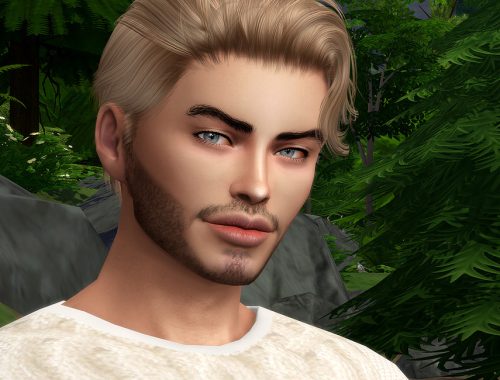 Louis Fortin