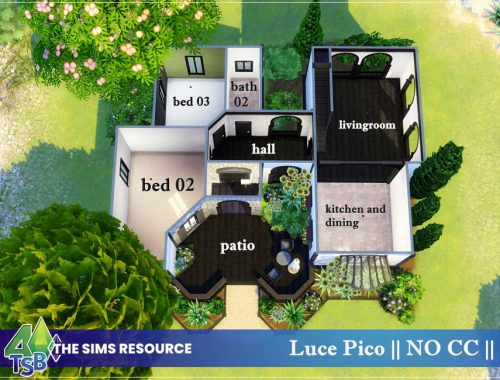 Luce Pico || NO CC ||