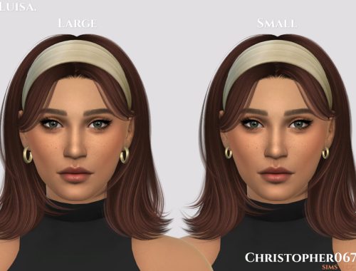 Luisa Earrings / Christopher067