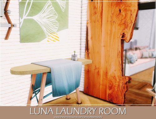 Luna Laundry Room