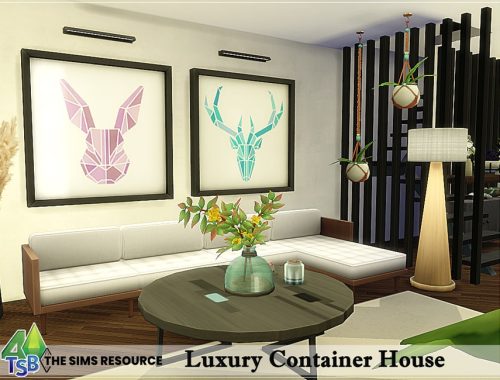 Luxury Container House-No CC