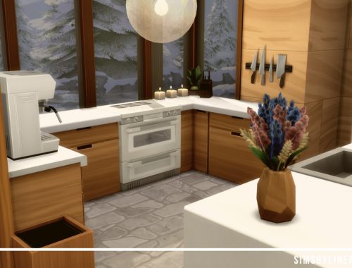 Luxury Ski Lodge