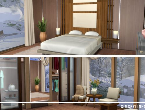 Luxury Ski Lodge
