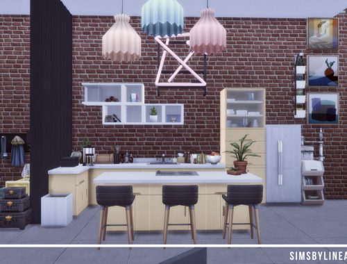 Makeshift Designer Loft