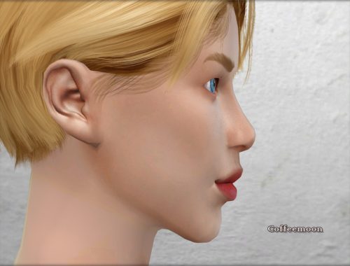 Male nose preset #4 by Coffeemoon.