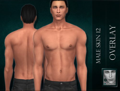 Male skin 12 Overlay