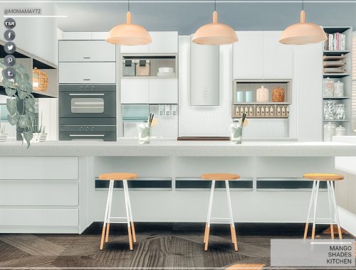 Mango Shades Kitchen