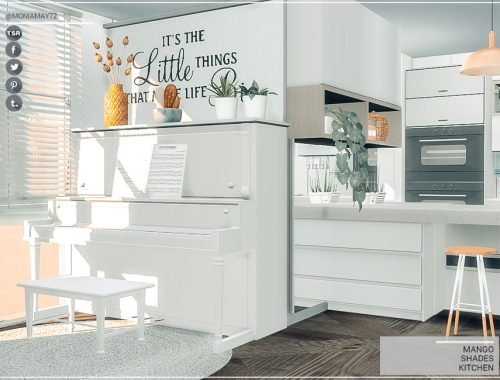 Mango Shades Kitchen