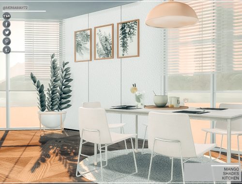 Mango Shades Kitchen