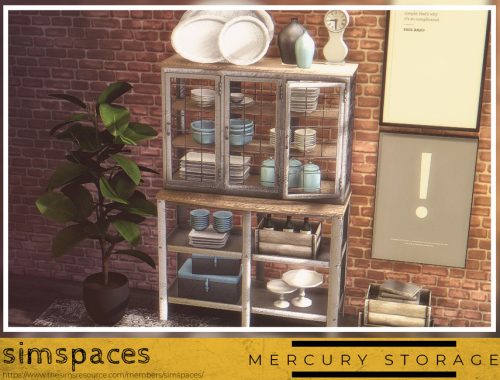 Mercury Storage