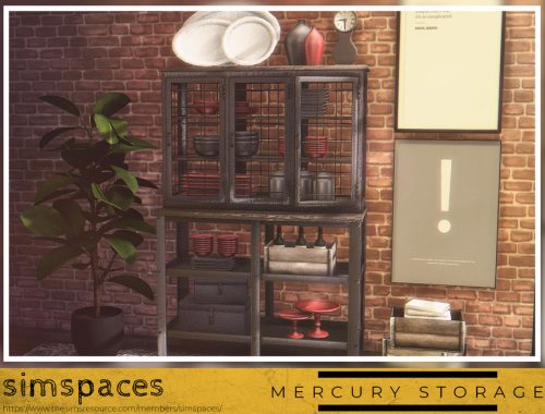 Mercury Storage