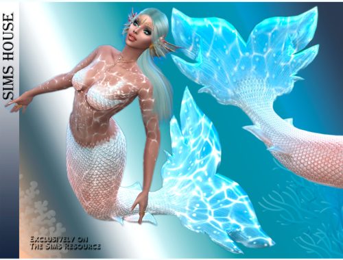 Mermaid Outfit Top