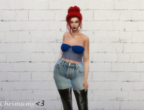 Mesh Corset