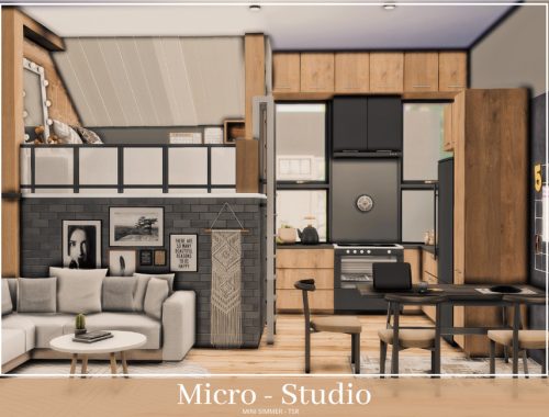 Micro Studio