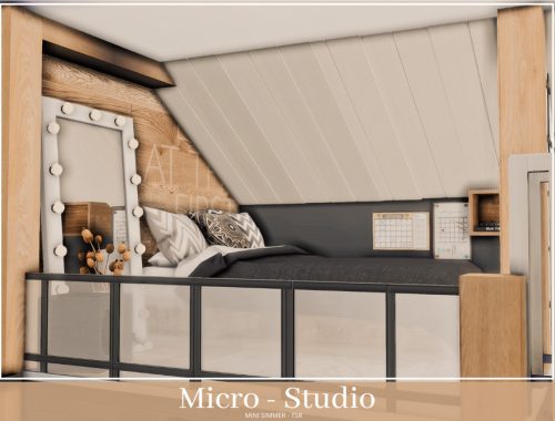 Micro Studio