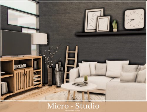 Micro Studio