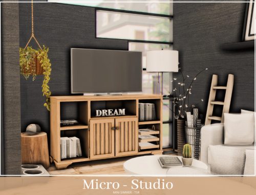 Micro Studio