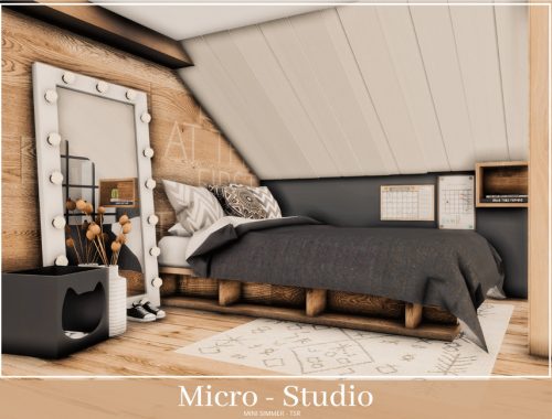 Micro Studio