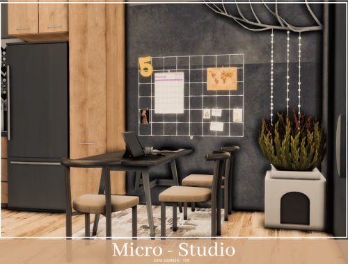 Micro Studio