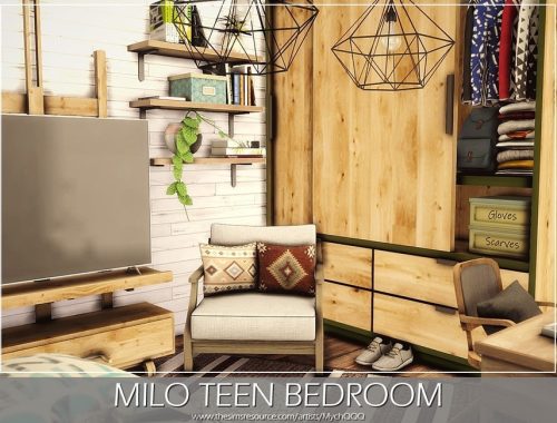 Milo Teen Bedroom