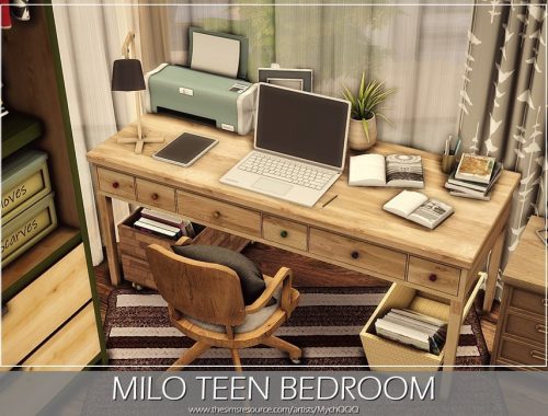 Milo Teen Bedroom