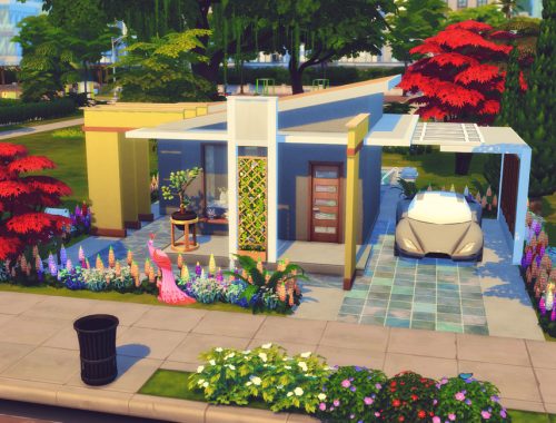 Mini Yellow Point |No CC