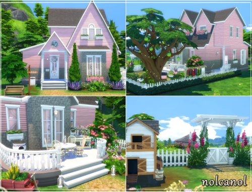 Miss Pink / No CC