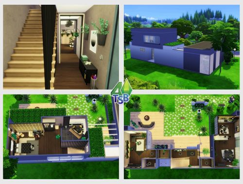 MoDeras Modern || NO CC ||