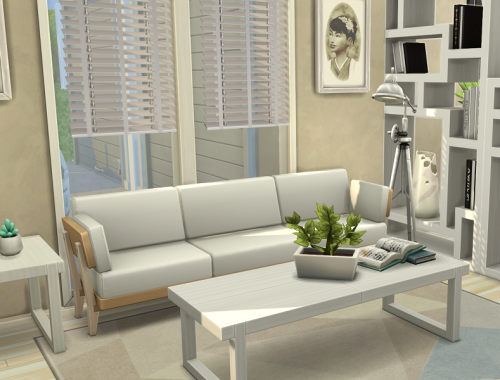 Modern 3 Flat Apartment House // no CC
