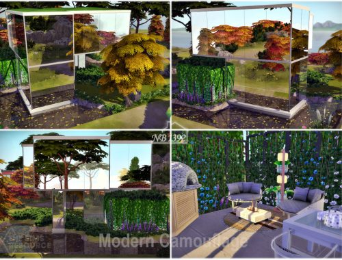 Modern Camouflage (TSR only CC)