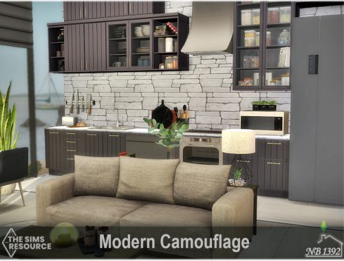 Modern Camouflage (TSR only CC)