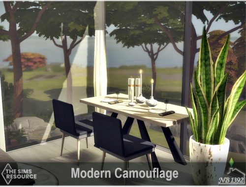 Modern Camouflage (TSR only CC)