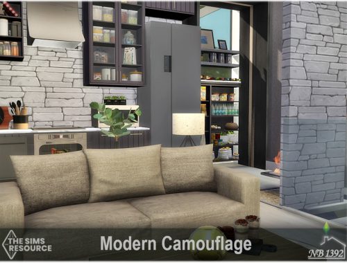 Modern Camouflage (TSR only CC)