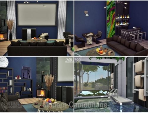 Modern Camouflage (TSR only CC)