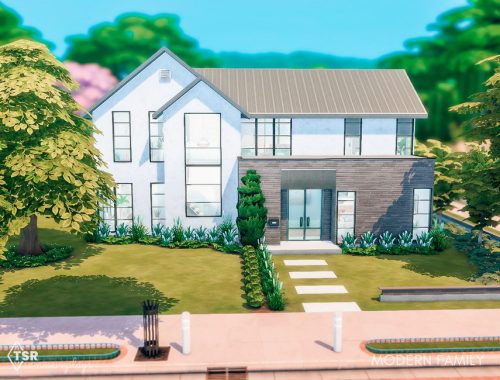 Modern Family Home -  gallery