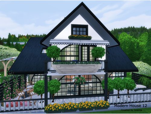 Modern House 12