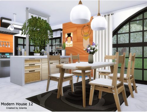 Modern House 12