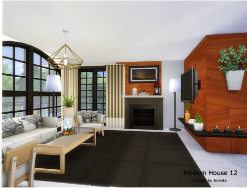 Modern House 12