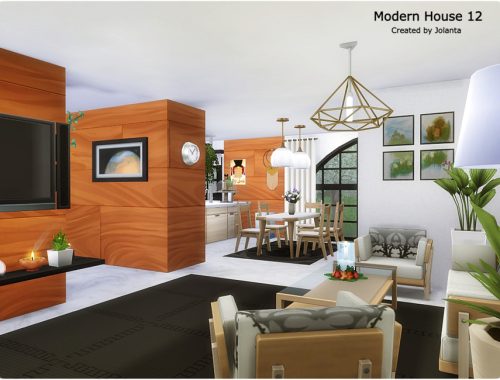 Modern House 12