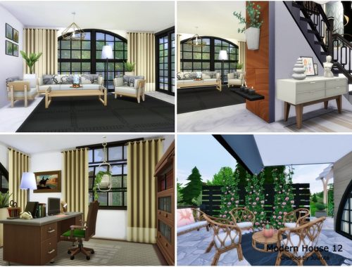 Modern House 12