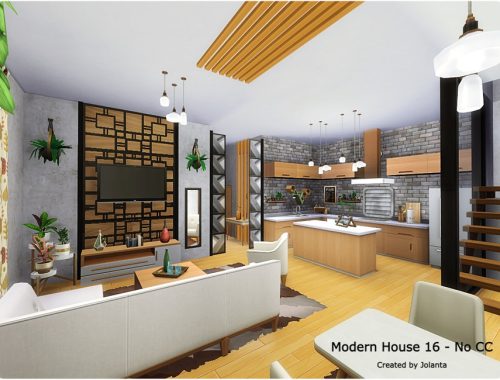 Modern House 16 - No CC