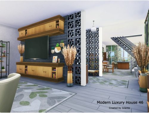 Modern Luxury House 46