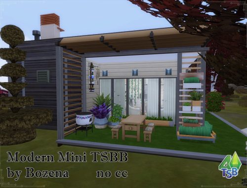 Modern Mini TSBB