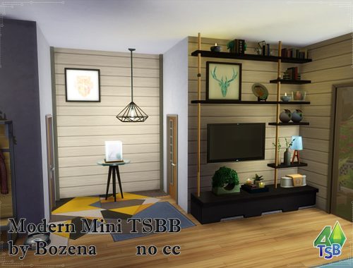 Modern Mini TSBB