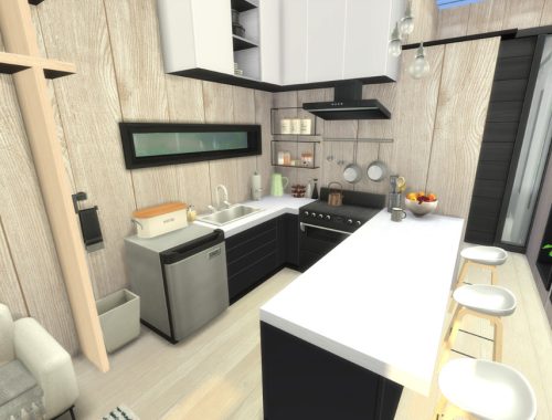 Modern Monochrome Tiny House (tier 2)