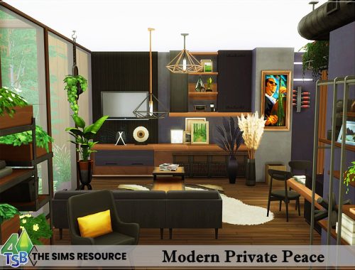 Modern Private Peace NO CC